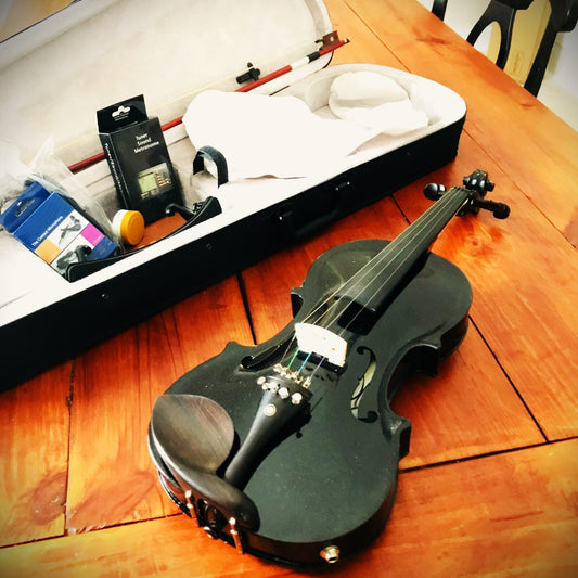 Black Full-Size 4/4 Acoustic Electric Violin w/ Case, Bow & More Glarry GV1020